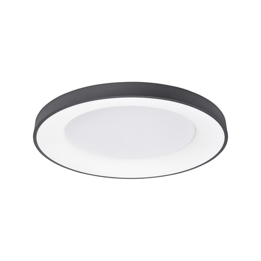 Rando Thin Ceiling Light