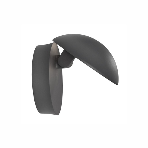 Agile Outdoor Wall Light