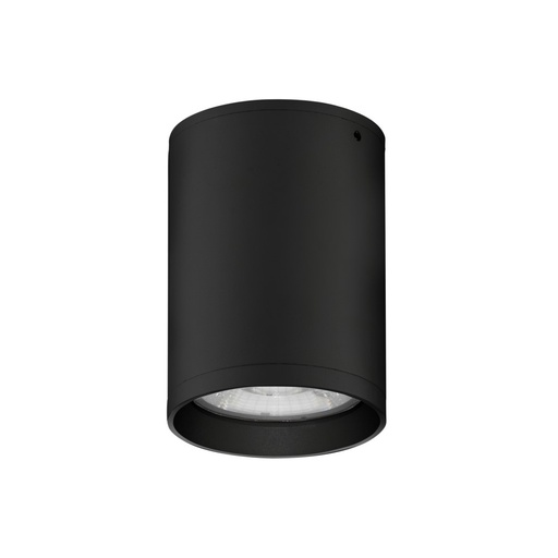 Dara Outdoor Ceiling Light