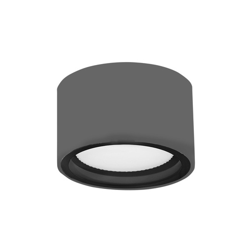 Focus Outdoor Ceiling Light