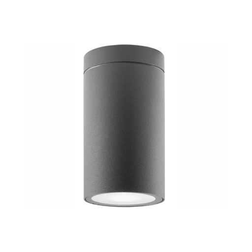 Cerise Outdoor Ceiling Light