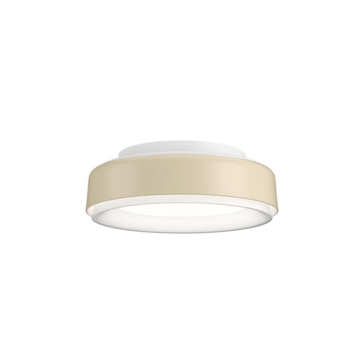 LP Grand Wall and Ceiling Light