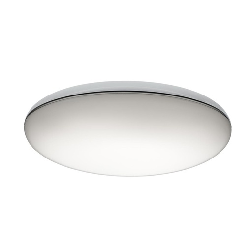 Silverback Wall and Ceiling Light