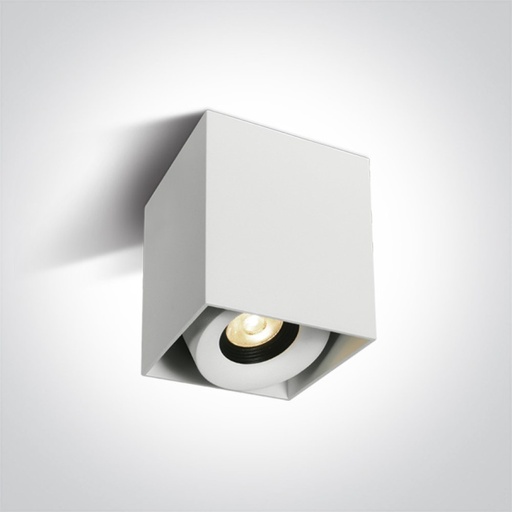 Adjustable COB Ceiling Light