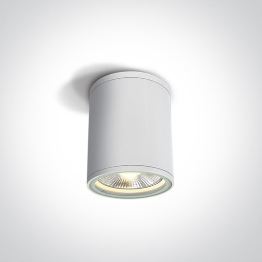 PAR30 Cylinder Outdoor Ceiling Light