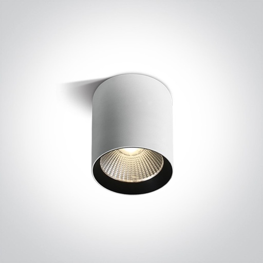 COB Cylinders Outdoor Ceiling Light