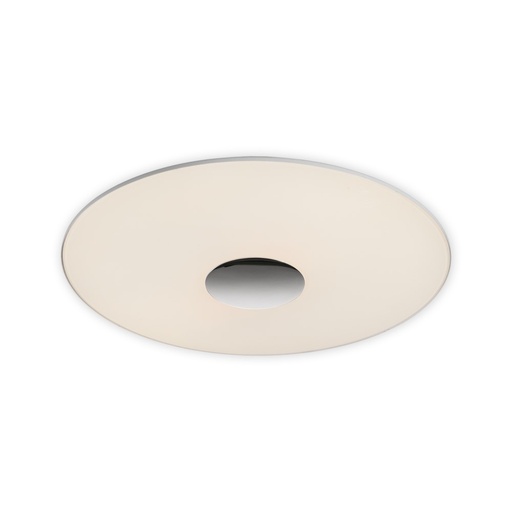 Live Ceiling Light