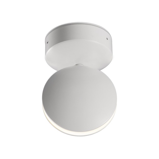 Spectra Ceiling Light