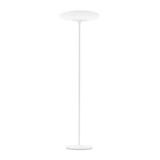 Squash Floor Lamp