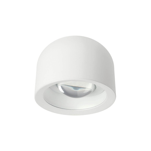 Outlook Ceiling Light