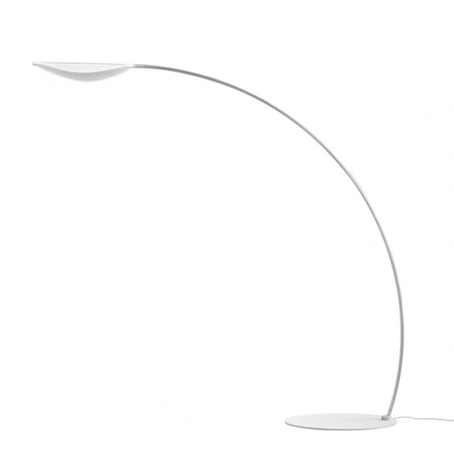 Diphy Floor Lamp