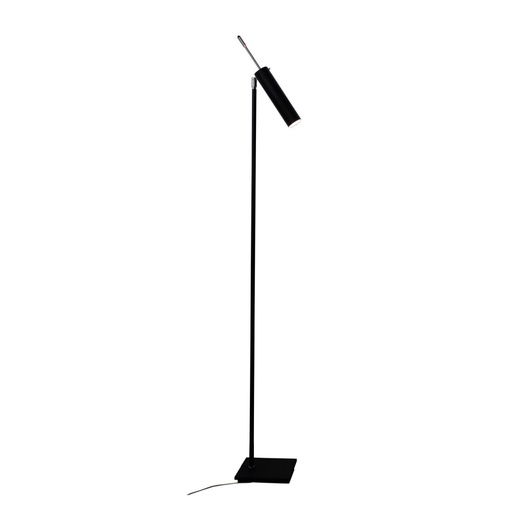 Lucenera 506 Floor Lamp