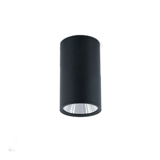 Rel Ceiling Light