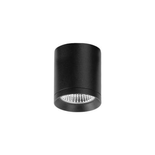 Top Mini Ceiling Light