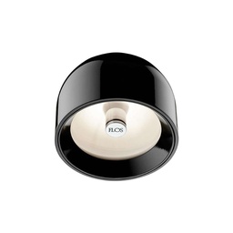 Wan Wall and Ceiling Light