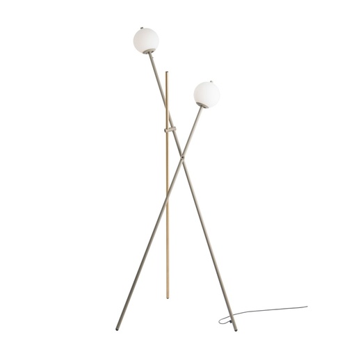 Asana P-3769 Floor Lamp