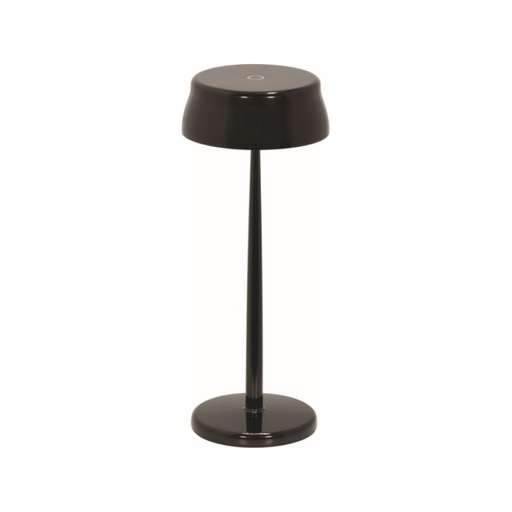 Sister Light Portable Table Lamp