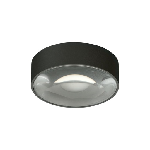 Ania Outdoor Ceiling Light