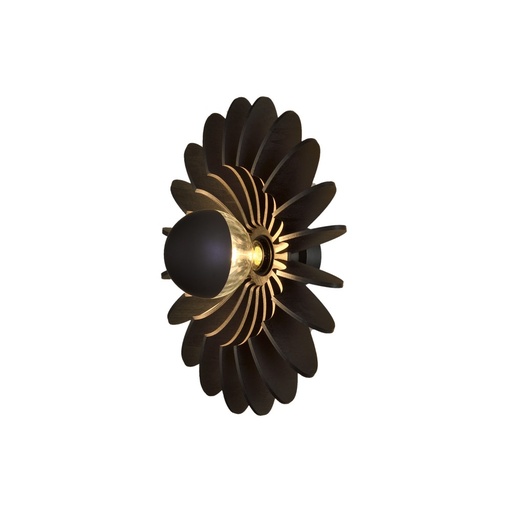 Rosa Del Desierto Wall Light