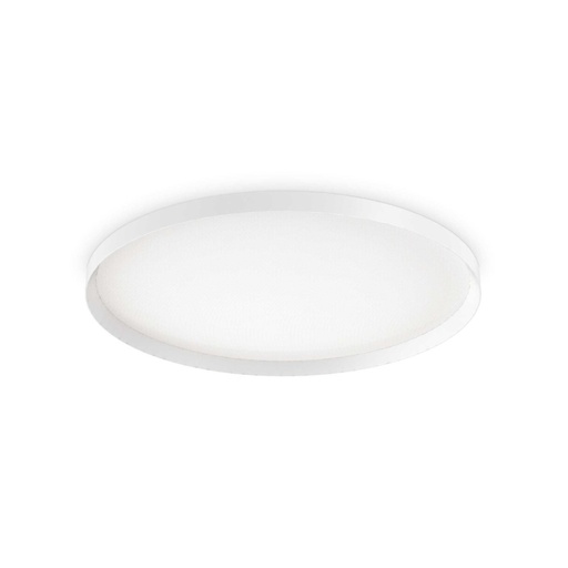 Fly Ceiling Light