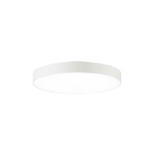 Halo Ceiling Light