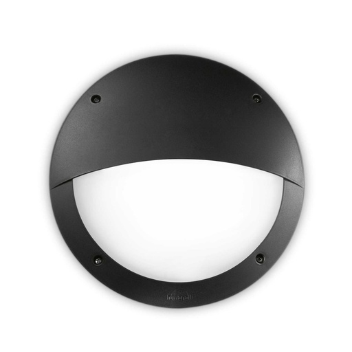 Lucia Outdoor Wall Light