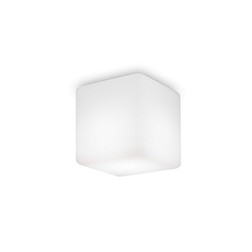 Luna G9 Outdoor Ceiling Light