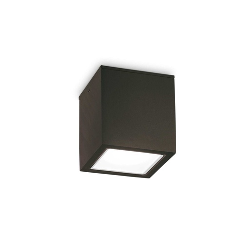 Techo Outdoor Ceiling Light