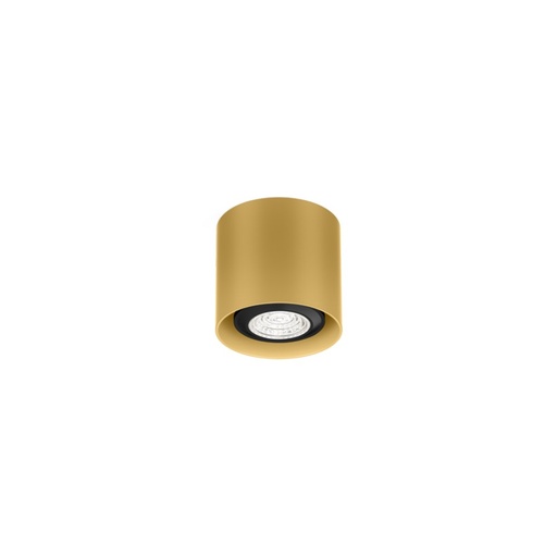 Ray Mini 1.0 PAR16 Ceiling Light