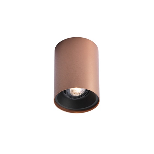 Solid 1.0 PAR16 Ceiling Light