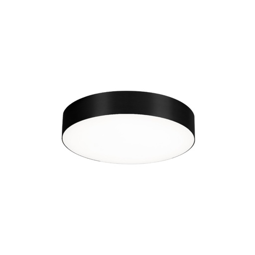 Roby Ceiling Light